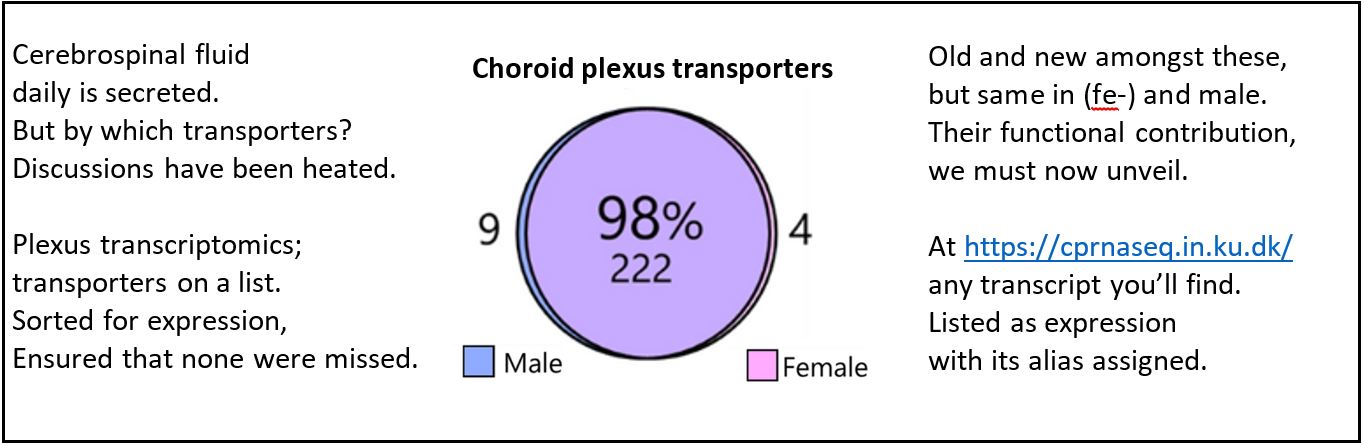 Choroid plexus transporters graph with small poem